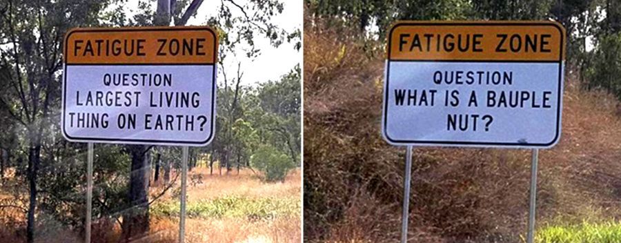 Longest Roads in Australia Longest Roads in Australia